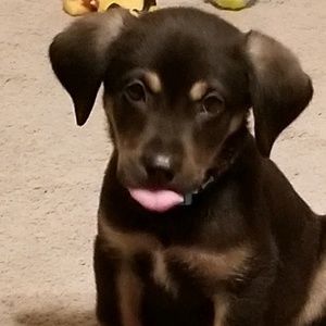 Meet your Posher, Vickie